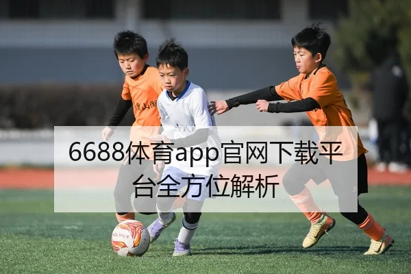 6688体育app官网下载平台全方位解析